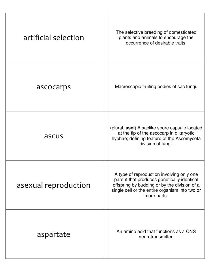 Biology Flash Playing cards Aspect I graphic relating to Amino Acid Flashcards Printable known as Biology Flash Playing cards Element I